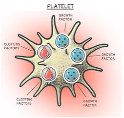 Platelet Image
